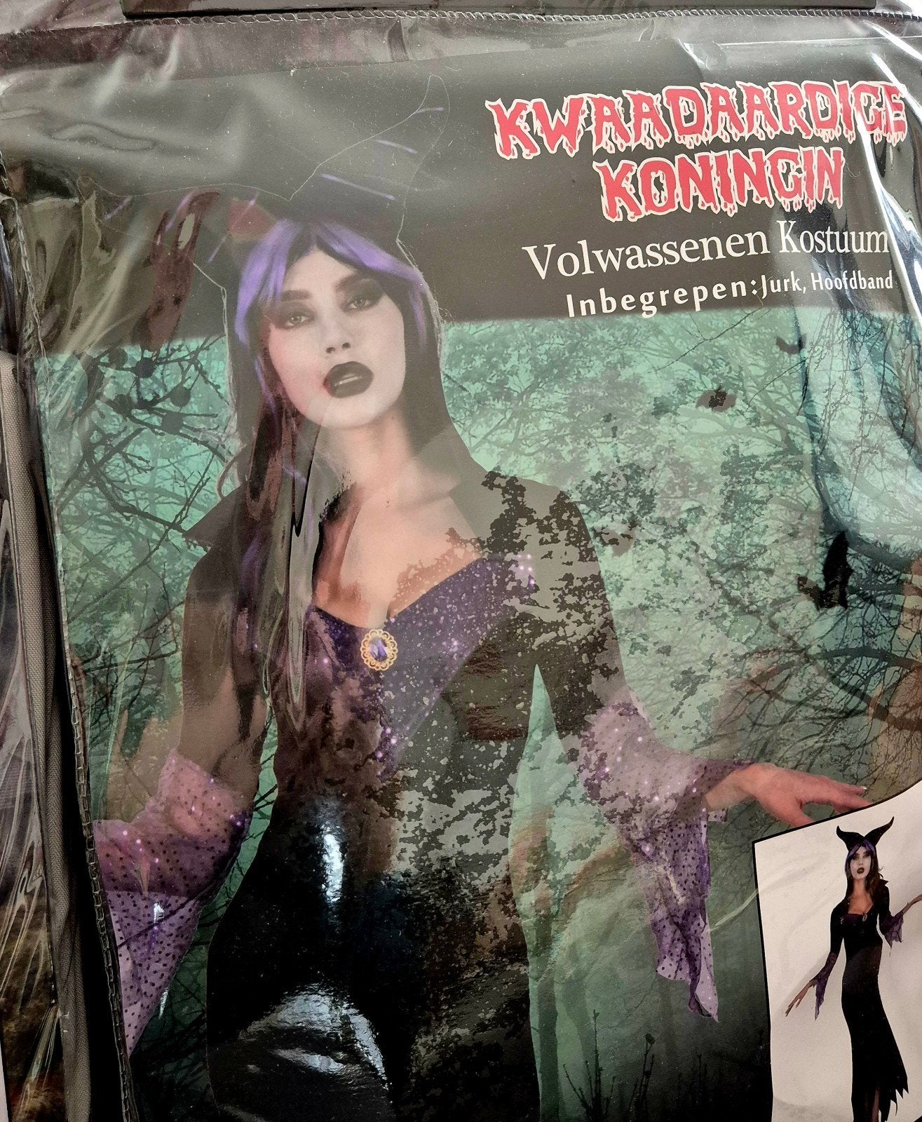 Halloween kostuums: Geest Bruidegom & Kwaadaardige Koningin, Maat 42/44 (L), Ophalen of Verzenden, Zo goed als nieuw, Halloween