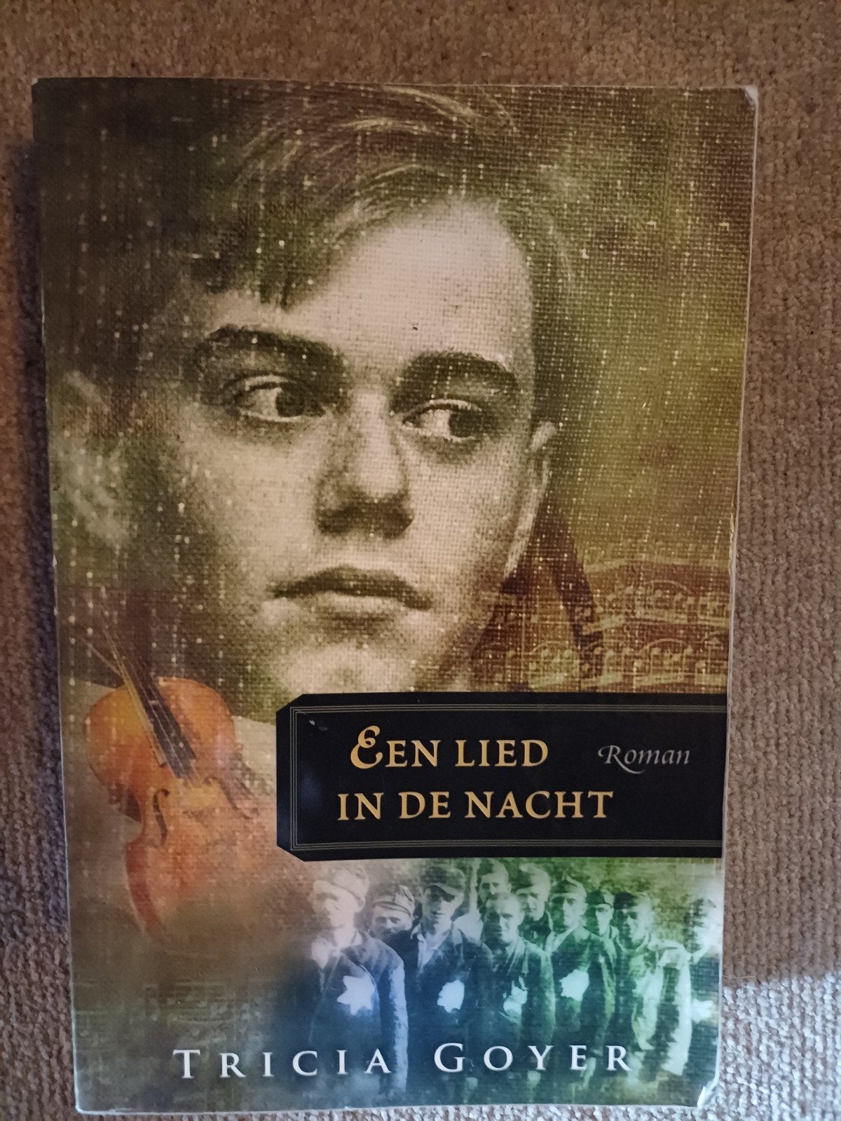 Een Lied in de Nacht - Roman van Tricia Goyer, Boeken, Ophalen of Verzenden, Gelezen, Tricia Goyer
