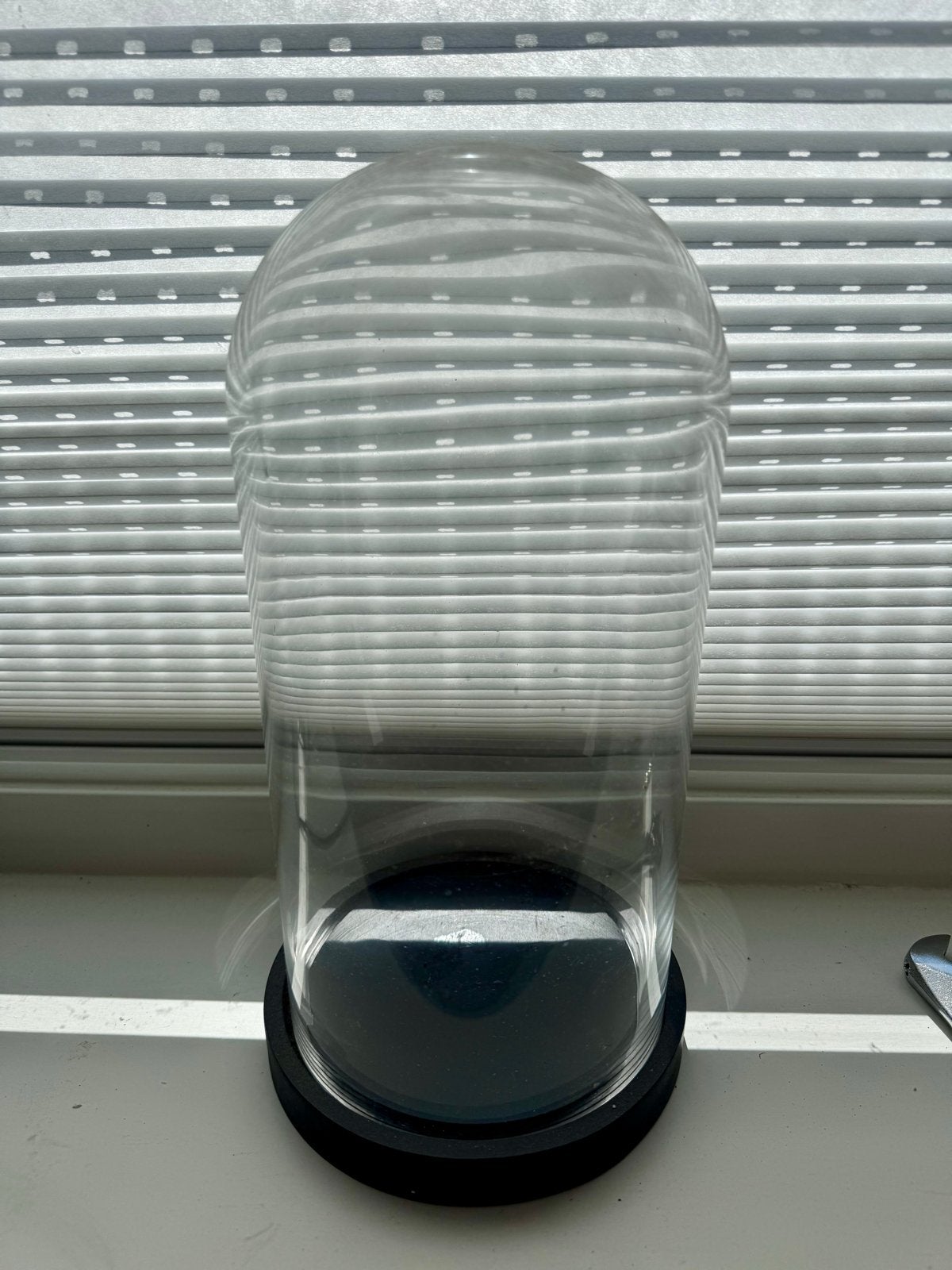 Glazen stolp met zwarte voet, Ophalen of Verzenden, Zo goed als nieuw, Glas