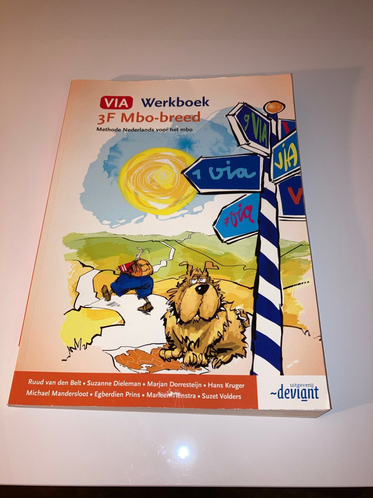 VIA Werkboek 3F Mbo-breed - Methode Nederlands, Boeken, Ophalen of Verzenden, Zo goed als nieuw, MBO