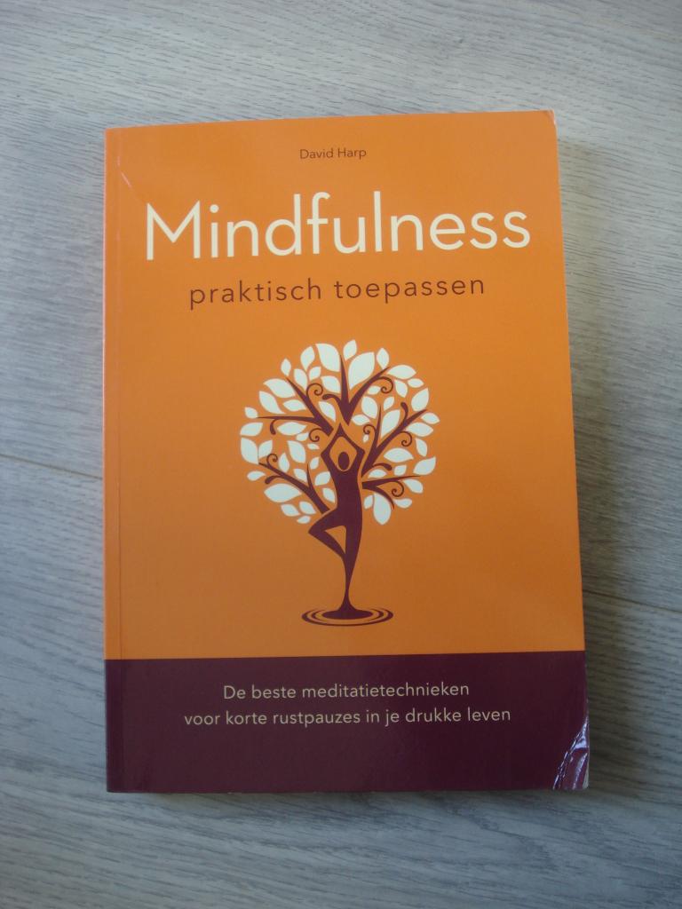 Mindfulness Praktisch Toepassen (David Harp), Ophalen of Verzenden, Gelezen, Overige onderwerpen, Overige typen