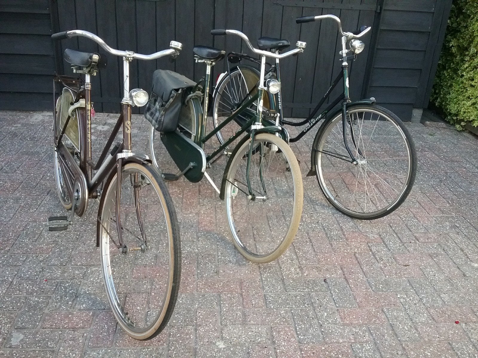 GAZELLE- DAMESFIETSEN  stap/bus/camping, 55 tot 59 cm, Ophalen