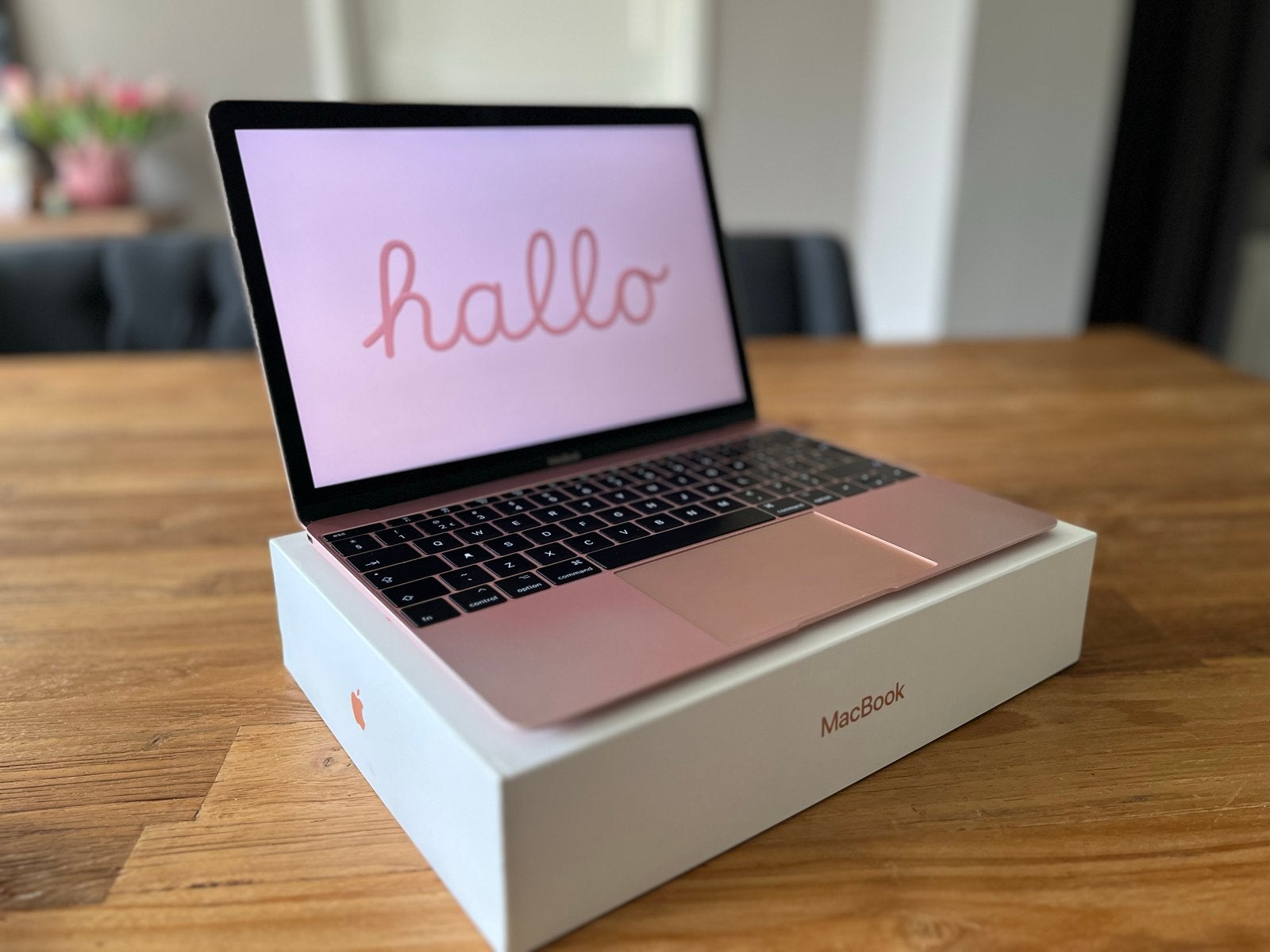 Apple MacBook 12-inch (2017) - Zo goed als nieuw, Computers en Software, Apple Macbooks, Ophalen, 256 GB, Qwerty, 8 GB