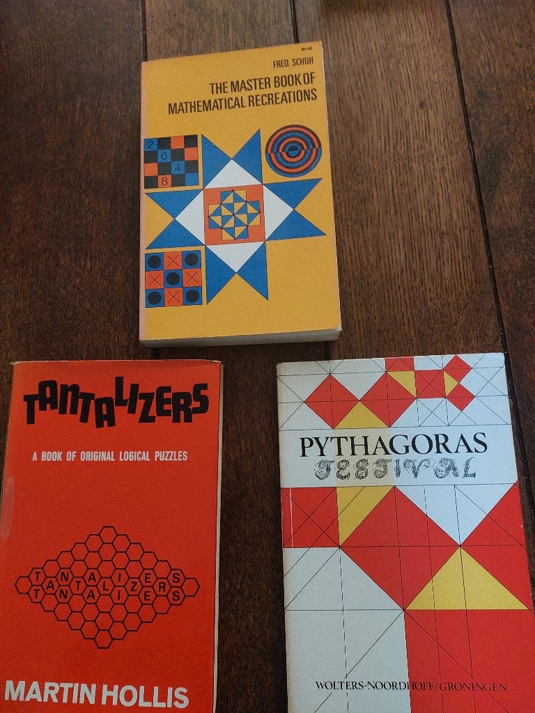 wiskundig genie? Tantalizers, a book of logical PUZZLES, Ophalen of Verzenden, Zo goed als nieuw, Overige onderwerpen, Geschikt voor kinderen