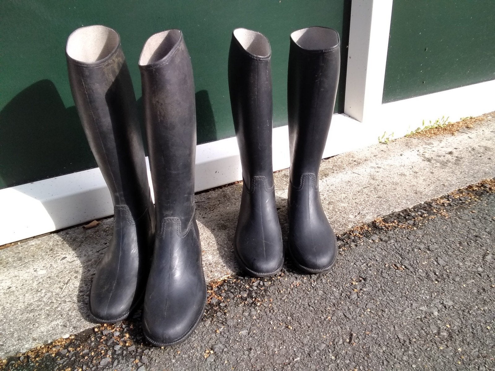 paardrijlaarzen, Dieren en Toebehoren, Ophalen