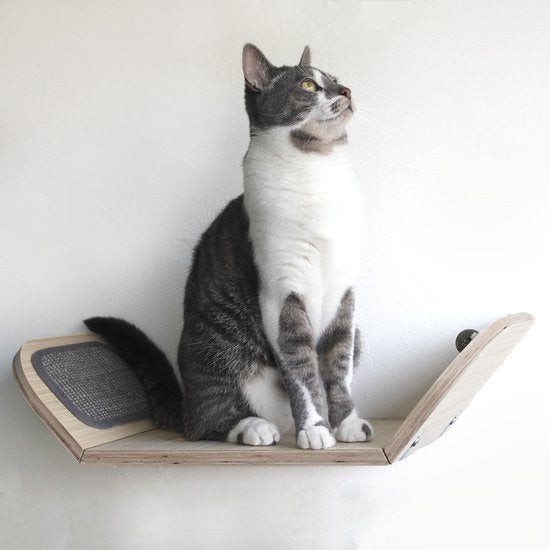 Wandbed kat (cat wall bed), Dieren en Toebehoren, Katten-accessoires, Ophalen of Verzenden, Zo goed als nieuw