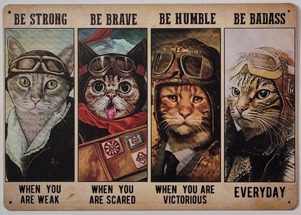 Katten brave strong humble reclamebord van metaal wanddeco