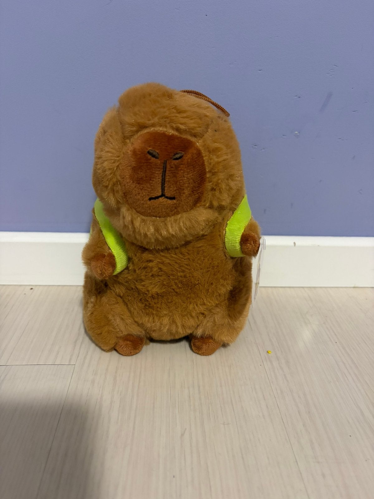 Capybara knuffel, Kinderen en Baby's, Speelgoed | Knuffels en Pluche, Overige merken, Overige typen, Nieuw, Ophalen of Verzenden