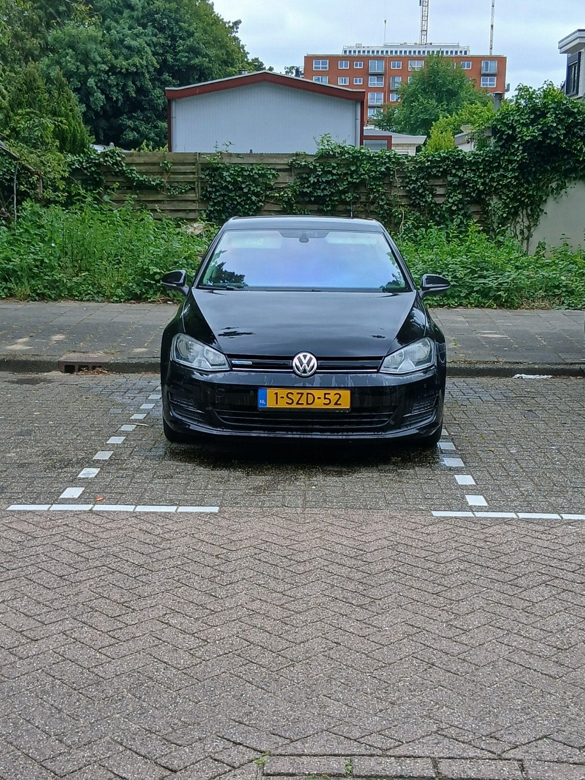 Volkswagen Golf 1.6 TDI 81KW 5D Blue Motion 2014 Zwart, Voorwielaandrijving, 4 cilinders, Zwart, Origineel Nederlands