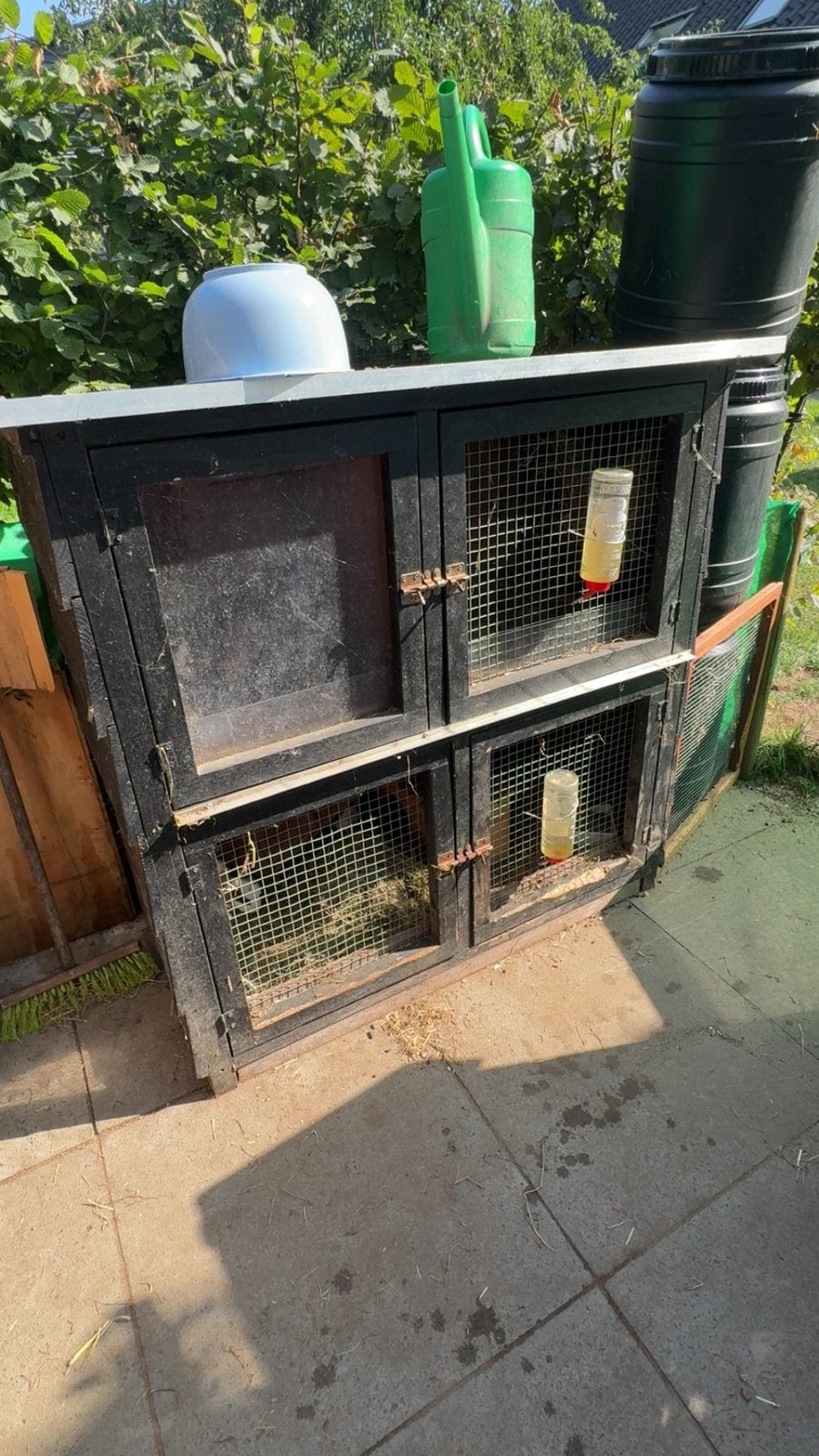 Gratis konijen/cavia hok, Dieren en Toebehoren, Knaagdieren en Konijnen | Hokken en Kooien, Zo goed als nieuw, Hok, Cavia, Ophalen