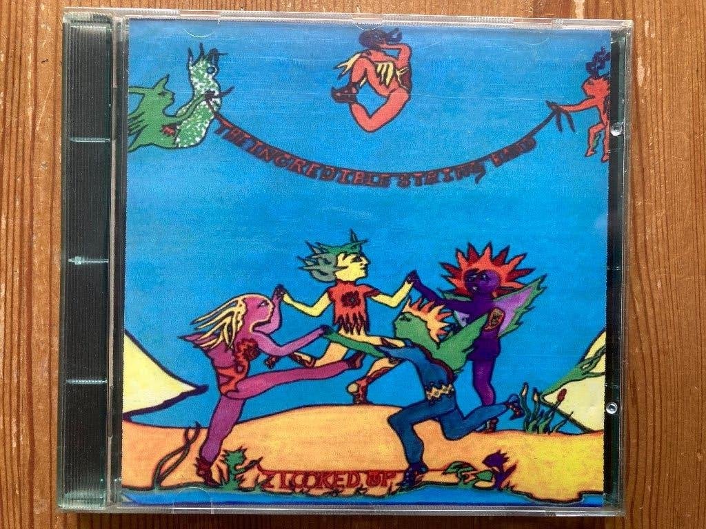 the incredible string band, Ophalen of Verzenden, Zo goed als nieuw, Progressive