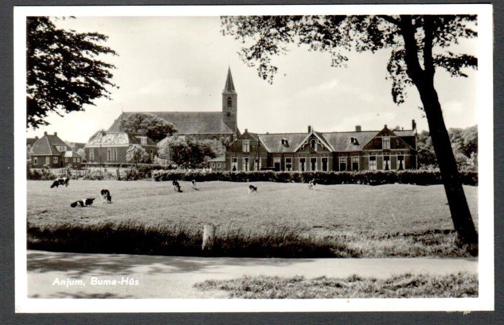 Oude ansicht - Anjum - Buma-Hus -1940-1960 - Frl., Ophalen of Verzenden, 1940 tot 1960, Gelopen, Friesland