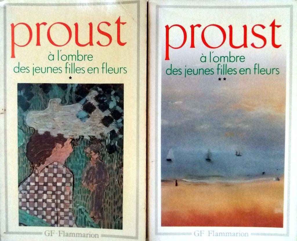 Marcel Proust - A l'ombre des jeunes filles en fleurs I & II, Boeken, Ophalen of Verzenden, Gelezen, Fictie