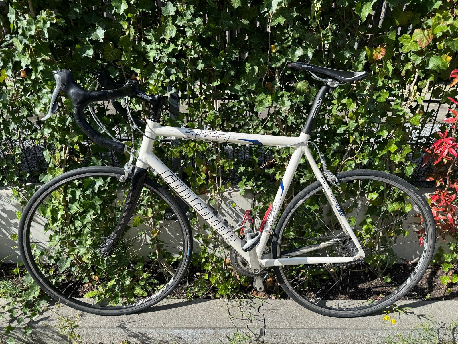 Concorde Mistral Racefiets - Perfect voor de startende fiets, 28 inch, Gebruikt, Velgrem, Meer dan 20 versnellingen