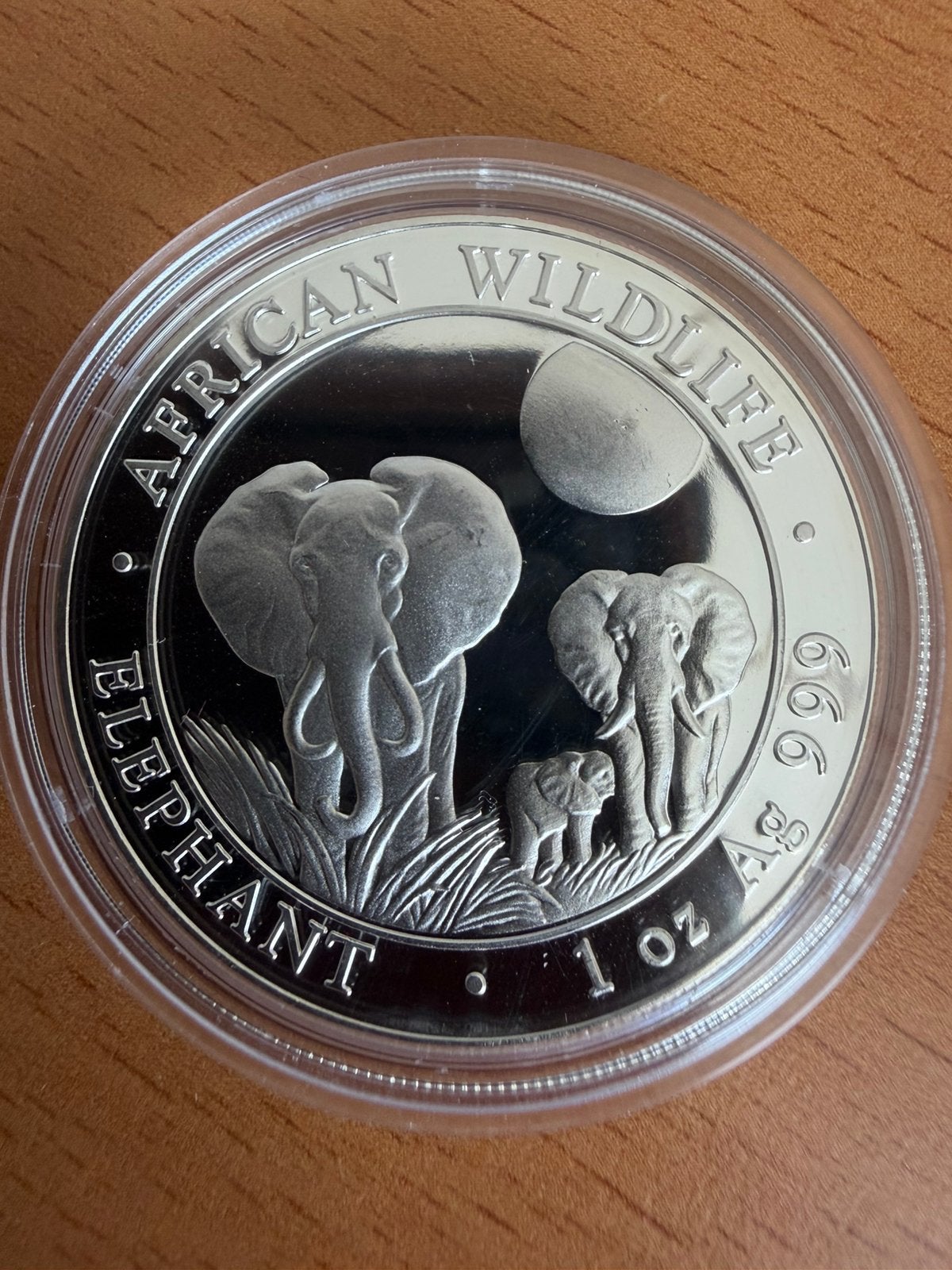 African wildlife som olifant 2014, Ophalen of Verzenden, Zilver