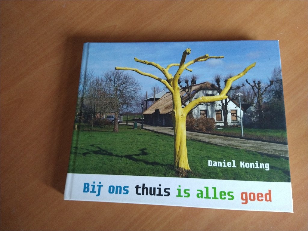 Bij ons thuis is alles goed. Daniel Koning, Ophalen of Verzenden, Zo goed als nieuw