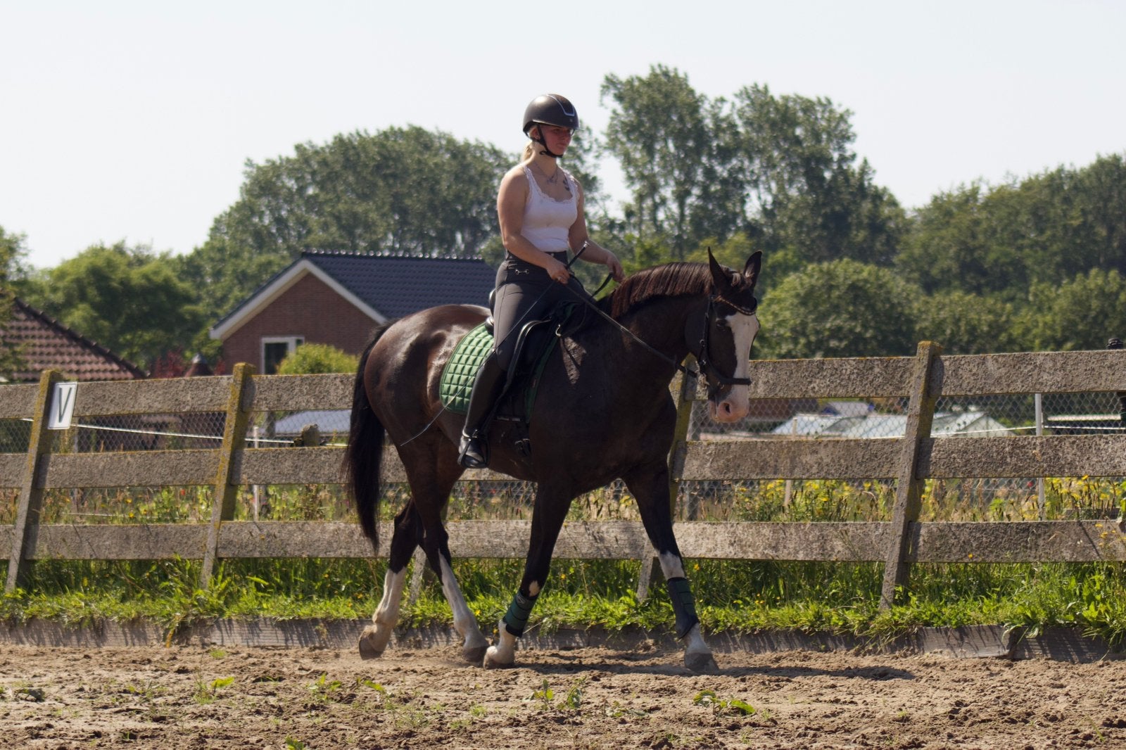Verzorger/Bijrijder aangeboden - Verzorgpaard gezocht!, Dieren en Toebehoren, Ophalen