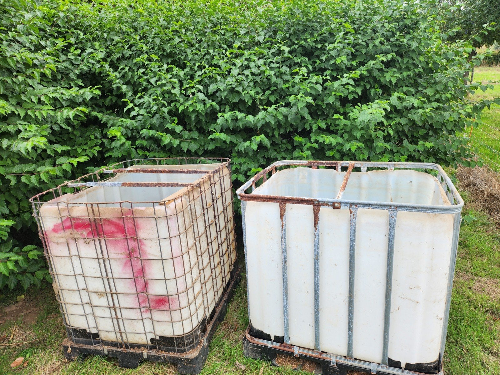 1000 liter bak/waterbak, 30 euro per bak, Dieren en Toebehoren, Ophalen of Verzenden