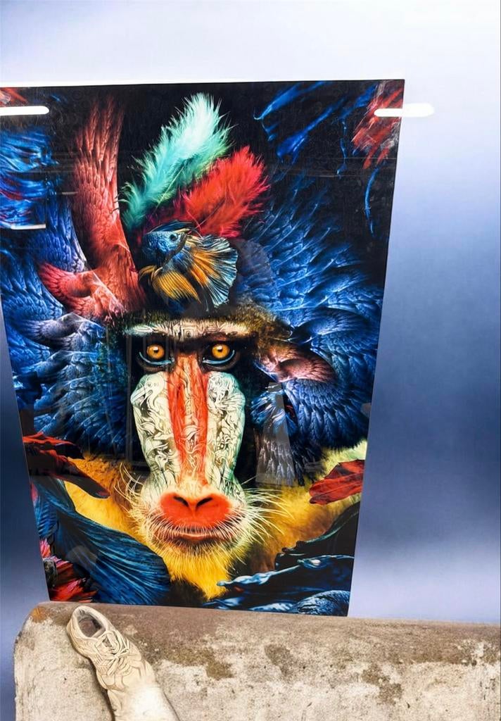 Uniek kunstwerk: Mandril met veren en vissen, Ophalen, Zo goed als nieuw