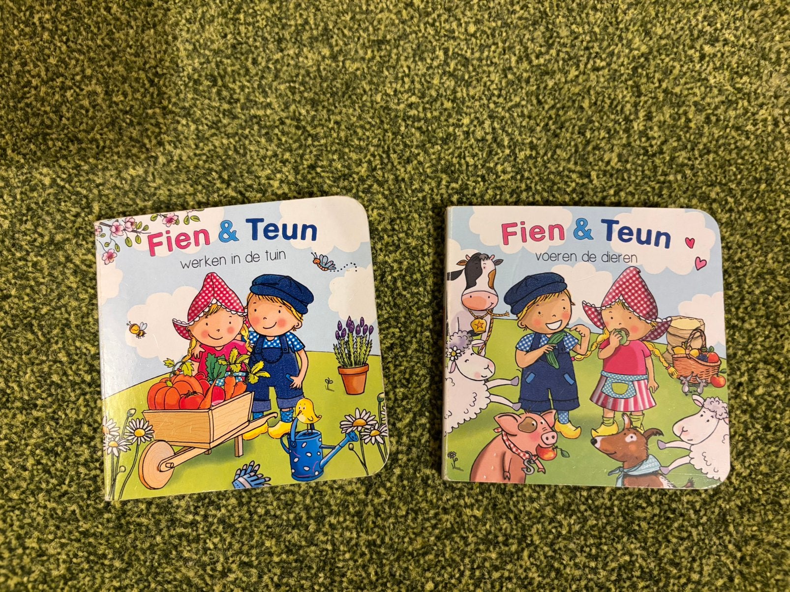 2 Fien & Teun kartonboekjes, Ophalen of Verzenden, Zo goed als nieuw, 2 tot 3 jaar