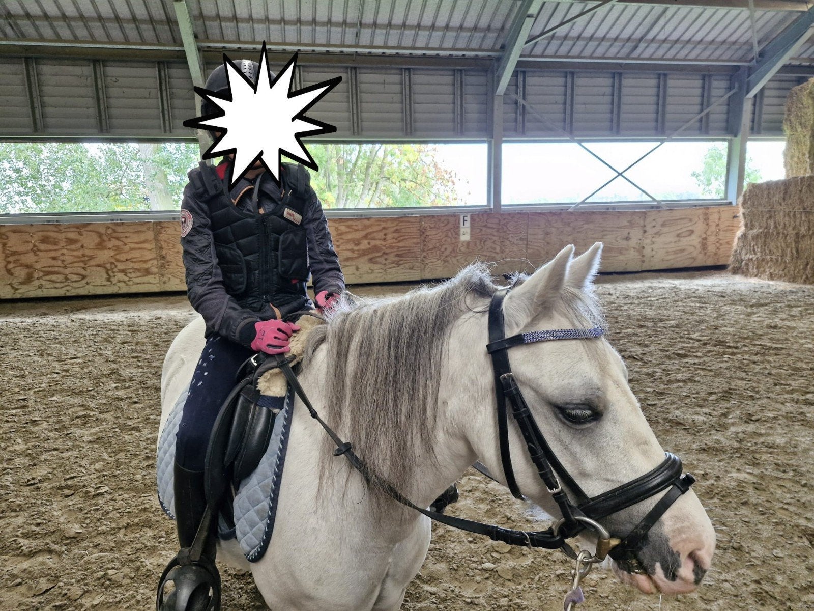 leuke welsh A ruin, B, Ruin, A pony (tot 1.17m), Ontwormd