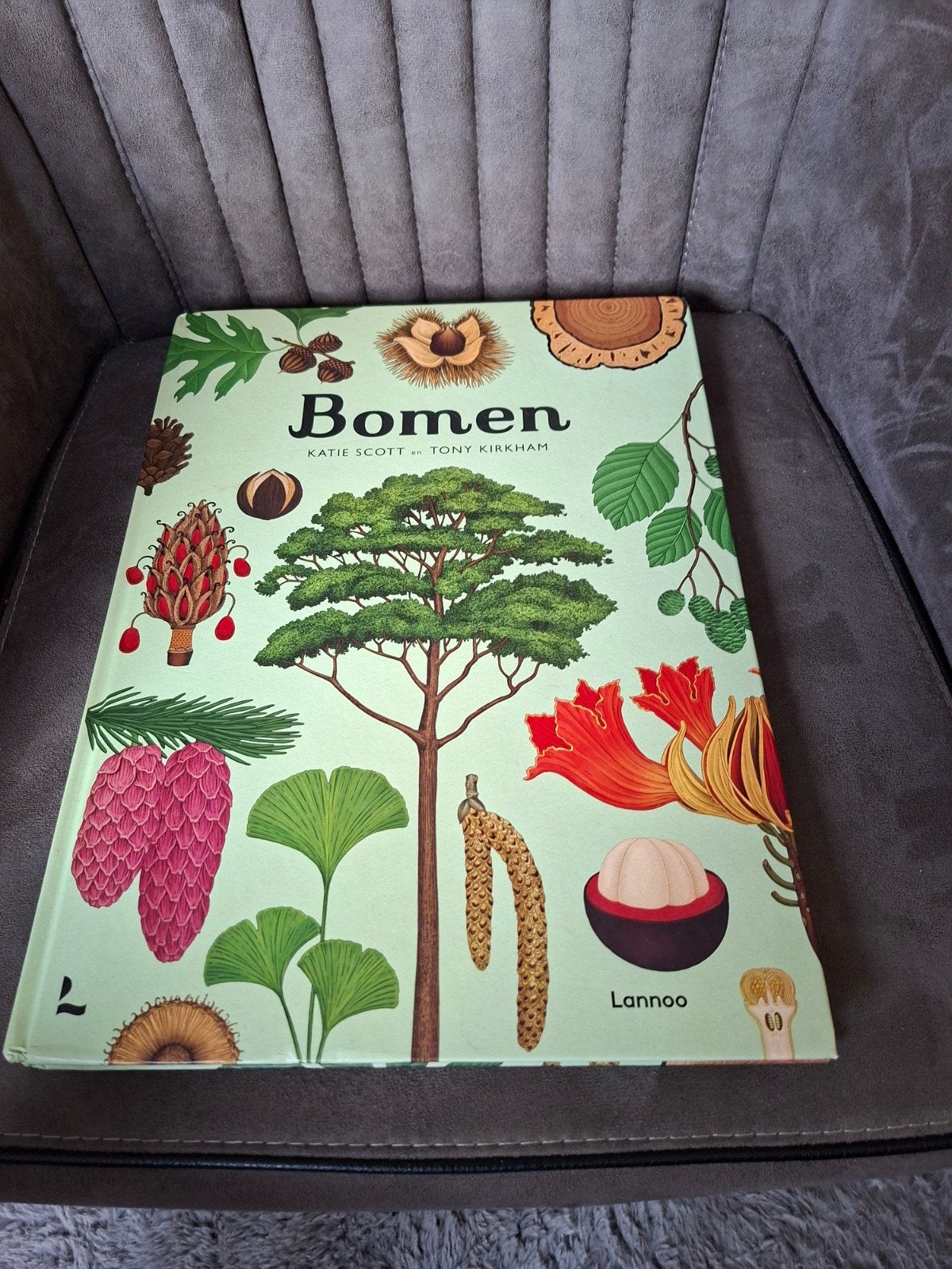 Bomen: Een visuele reis door de wereld van bomen, Ophalen of Verzenden, Zo goed als nieuw