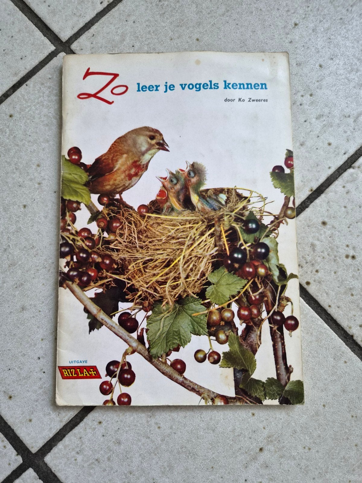 Zo leer je vogels kennen - Ko Zweeres (Rizla+ uitgave), Ophalen of Verzenden, Gelezen, Vogels
