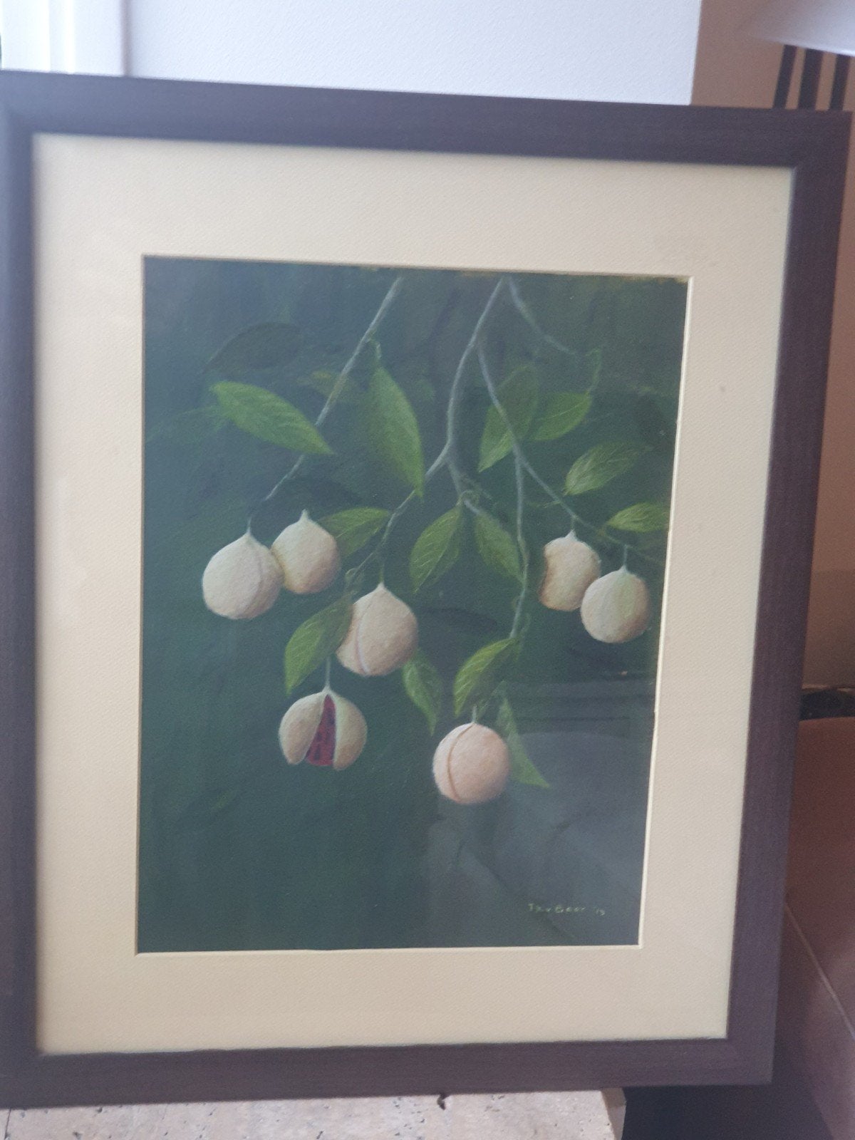aquarel noormuskaatboom Th. van Baar, Ophalen