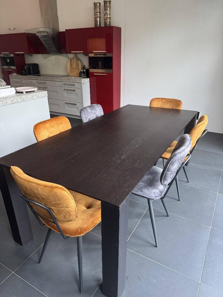 Eettafel met stoelen, Huis en Inrichting, Tafels | Eettafels, Gebruikt, 50 tot 100 cm, 200 cm of meer, Vijf personen of meer, Rechthoekig