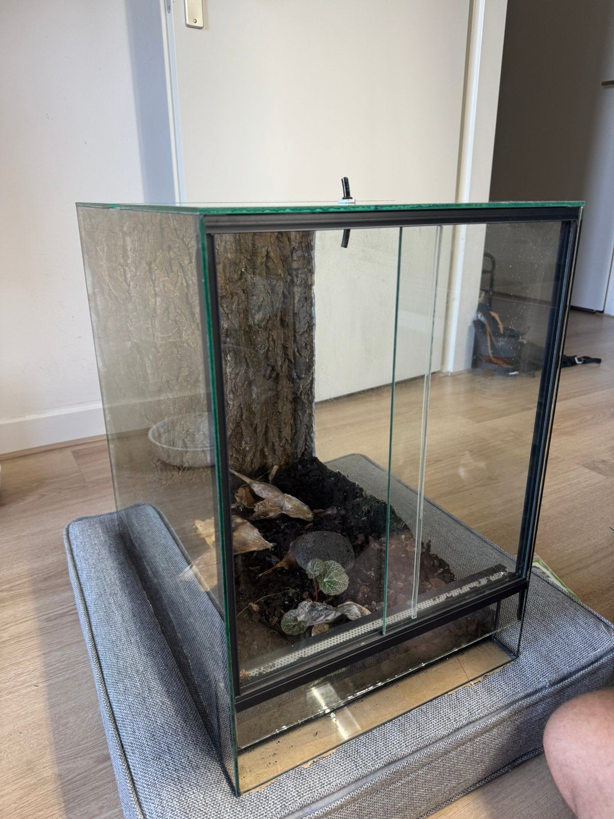 2x Terrarium 30x50x50 met achterwand en doorvoer, Ophalen, Zo goed als nieuw
