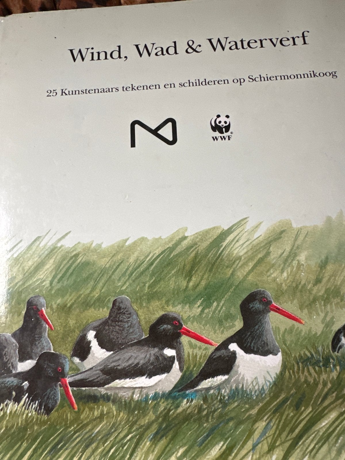 Wind, Wad & Waterverf - Schiermonnikoog kunstboek, Ophalen, Zo goed als nieuw, Natuur algemeen