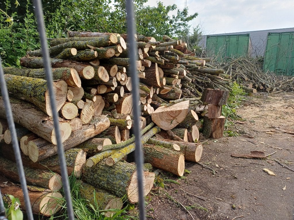 Gratis openhaardhout, morgen 17 juni ophalen, Tuin en Terras, Haardhout, Minder dan 3 m³, Ophalen, Overige houtsoorten
