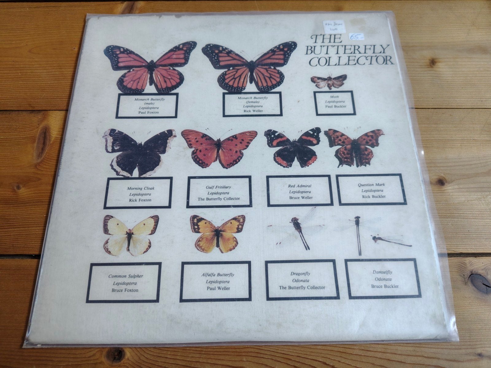 The Jam - Butterfly Collector Do-LP live bootleg 1980 Mod, Ophalen of Verzenden, Gebruikt, 12 inch, Poprock