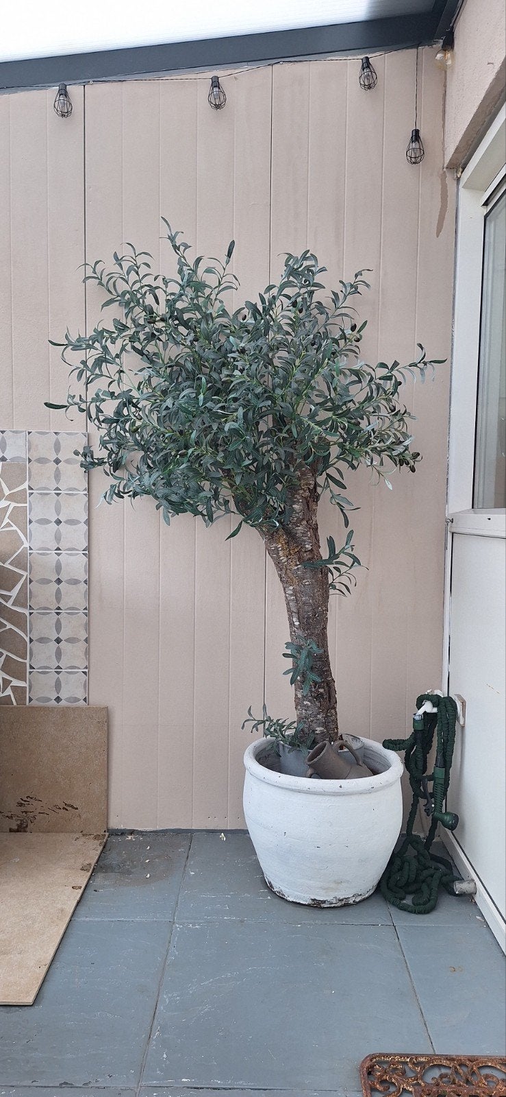 Kunst Olijfboom 190 cm - Realistische Houten Stam, Vaste plant, Bloeit niet, Volledige schaduw, Ophalen