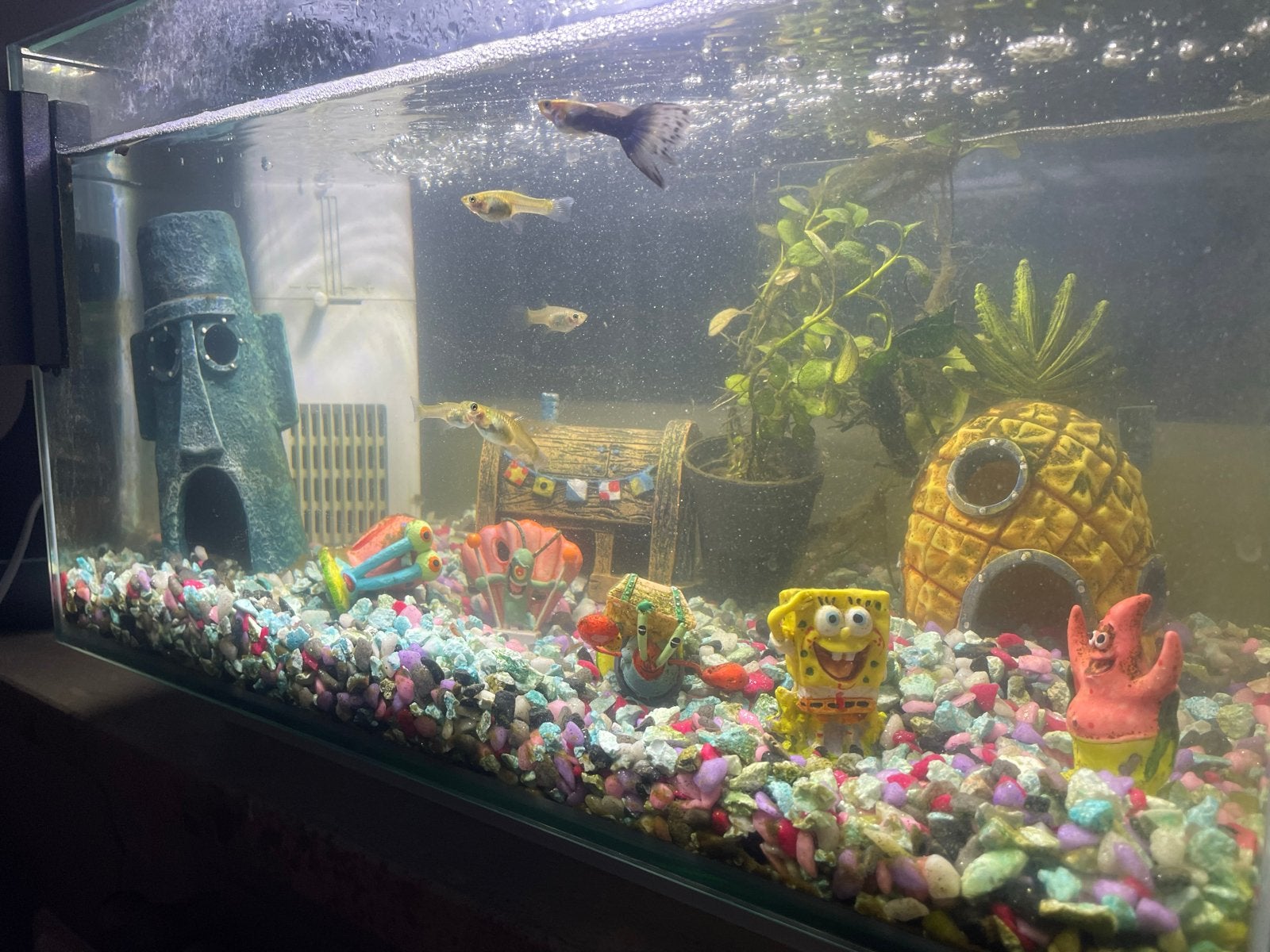 Aquarium 28l inclusief ornamenten, Ophalen, Leeg aquarium