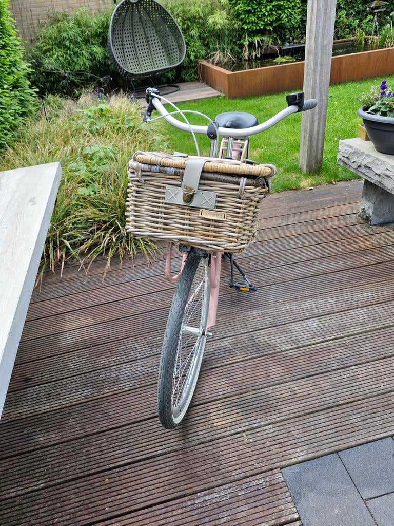 Alpina meidenfiets met mand, Terugtraprem, Gebruikt, Versnellingen, Ophalen