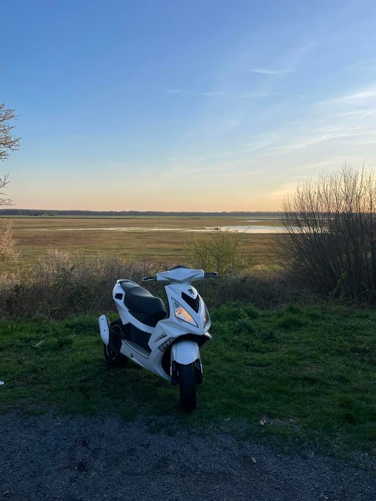 Peugeot speedfight 3 moet snel weg, Fietsen en Brommers, Scooters | Peugeot, Ophalen, Gebruikt, Speedfight, Benzine