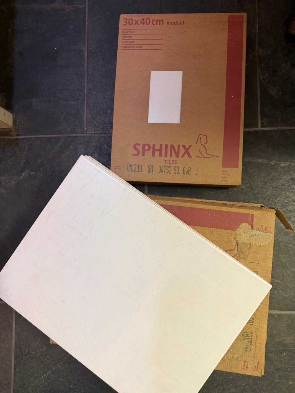 Wandtegels Sphinx 3 volle dozen en 6 losse, Ophalen, Nieuw, 20 tot 40 cm, Minder dan 5 m²