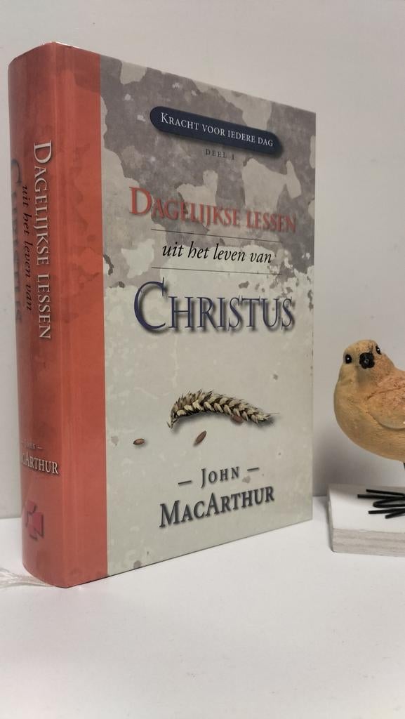 MacArthur, John; Kracht voor iedere dag deel 1, Boeken, Ophalen of Verzenden, Gelezen, Christendom | Protestants
