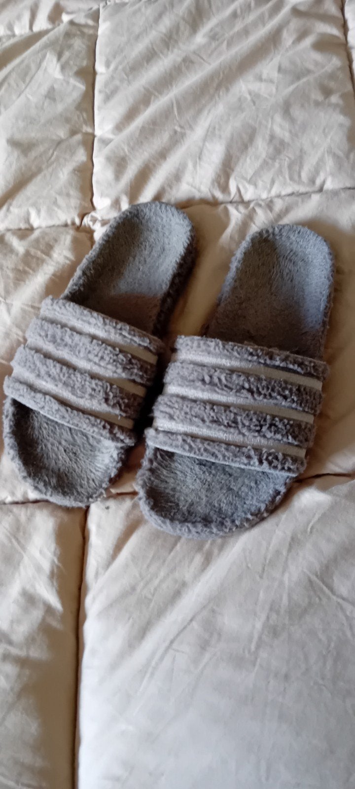 badstof slippers maat 43 kleur grijs, Ophalen of Verzenden, Gedragen, Overige kleuren