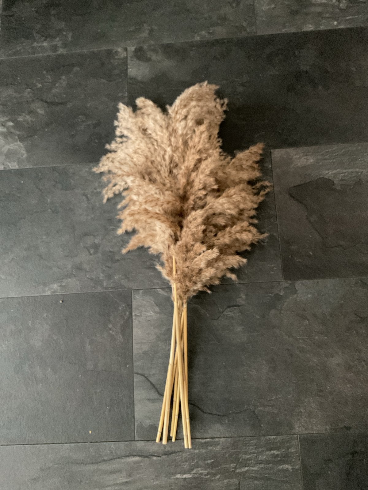 Decoratieve gedroogde pampas pluimen, Ophalen, Gebruikt