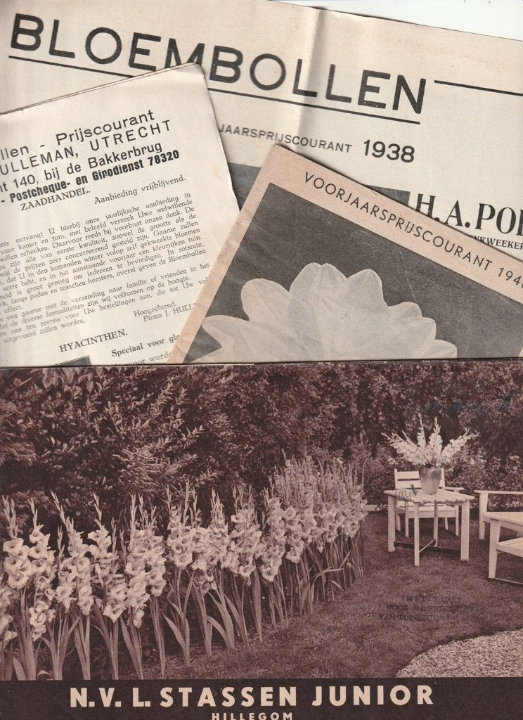 4 folders bloembollen Stassen Tromp Poen Hulleman 1935 1948, Boeken, Verzenden, Gelezen, Folder