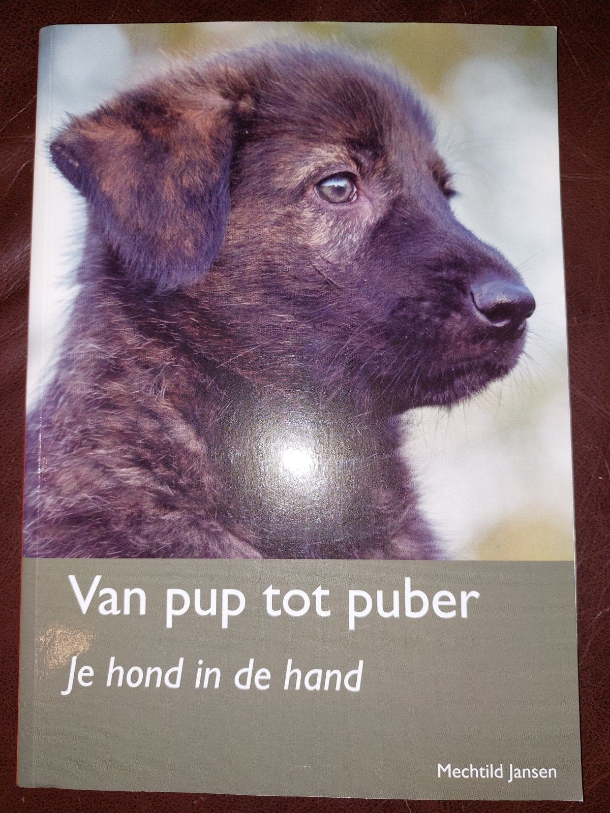 Van pup tot puber: Je hond in de hand - Mechtilde Jansen, Ophalen of Verzenden