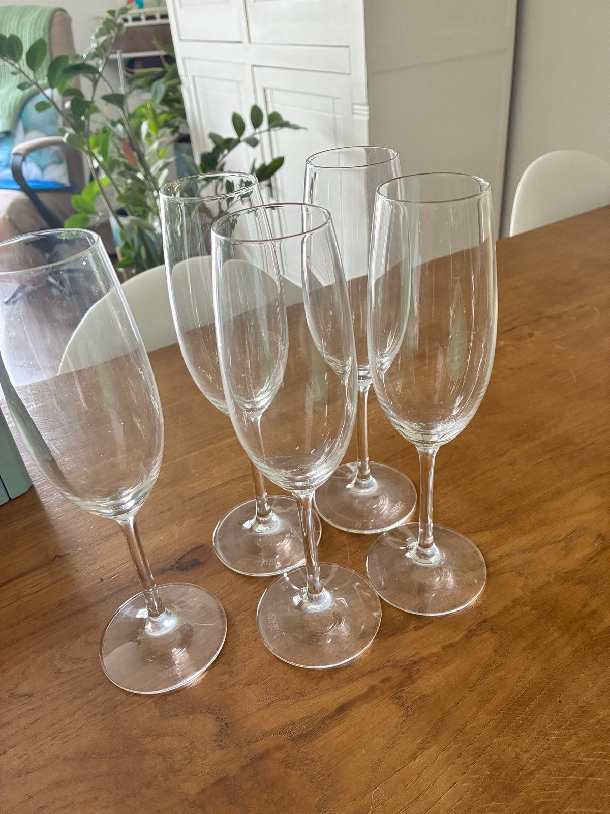 5 Schott Zwiesel champagne glazen, Ophalen, Glas of Glazen, Overige merken, Glas