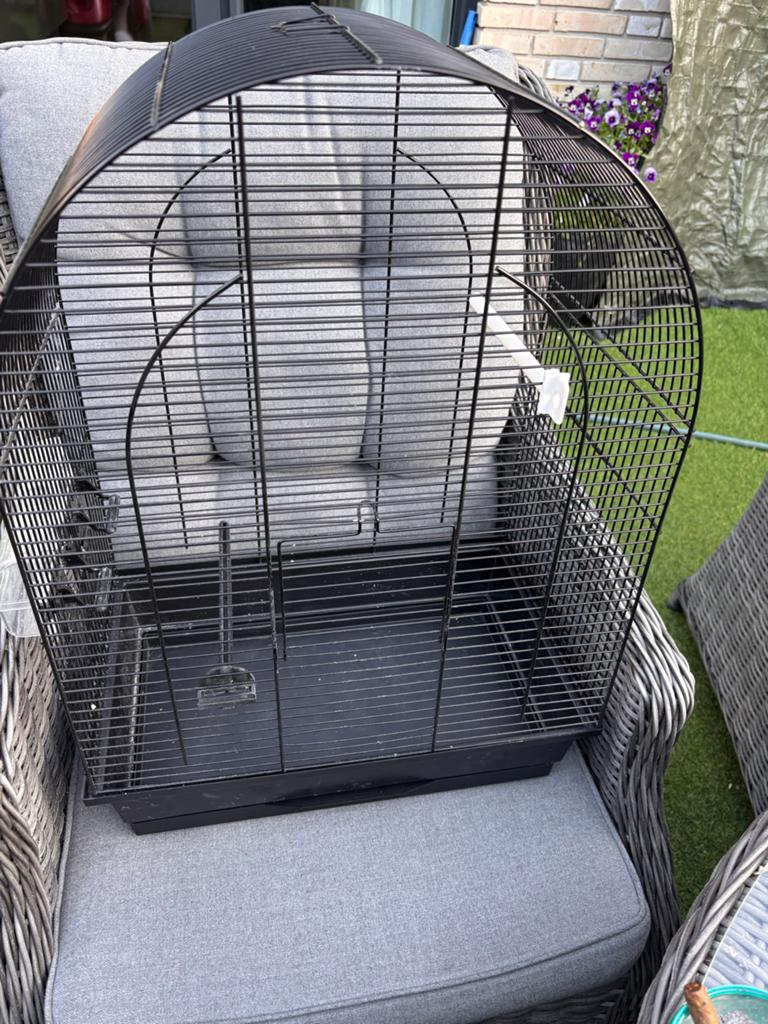 Nieuwe vogelkooi, Ophalen, Nieuw, Metaal, Vogelkooi