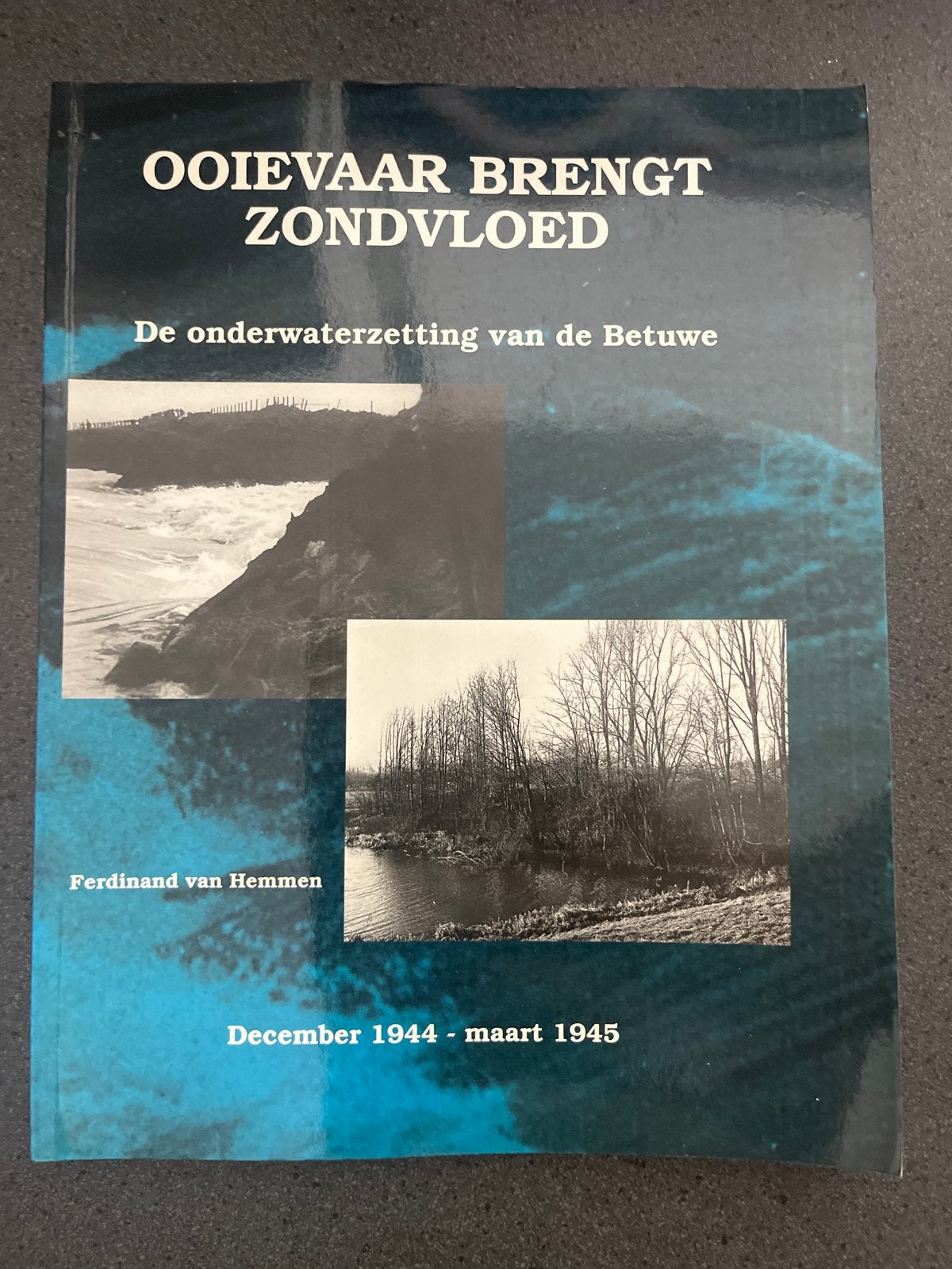 Ooievaar brengt zondvloed: De onderwaterzetting van de Betuw, Boeken, Ophalen of Verzenden, 20e eeuw of later, Zo goed als nieuw