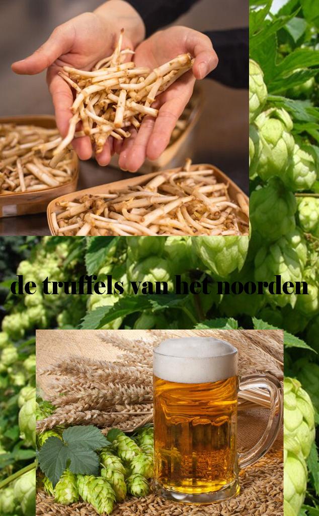 "De Truffels van het Noorden" onbekend maar super lekker., Vaste plant, Ophalen of Verzenden, Halfschaduw, Klimplanten