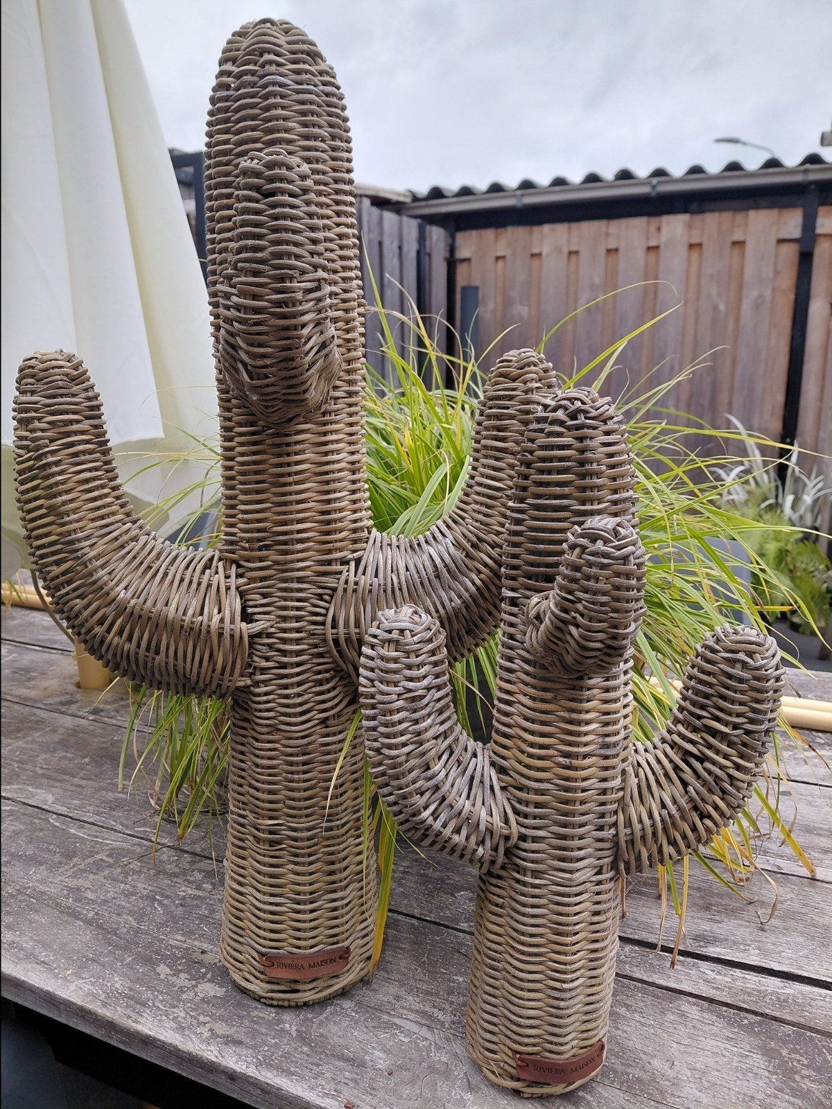 Rotan cactussen van Riviera Maison - Set van 2, Ophalen, Natuurlijk materiaal, Bruin, Landelijk