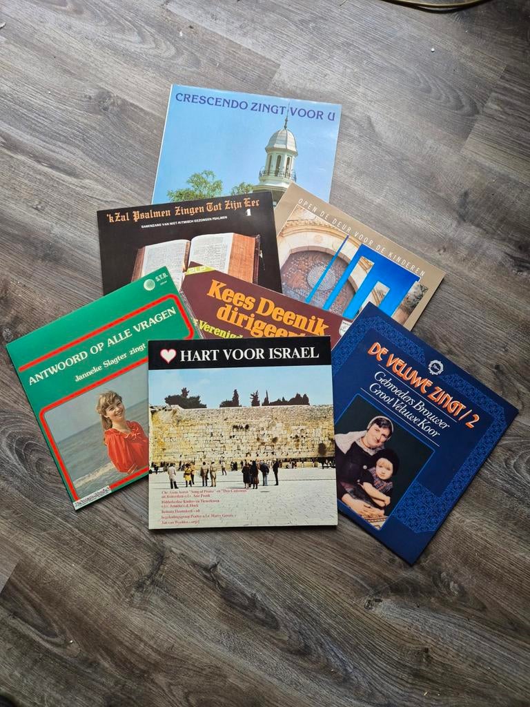 Diverse Christelijke Vinyl LP's - Koor en Geestelijke Muziek, Ophalen of Verzenden, Gebruikt, 12 inch, Overige genres