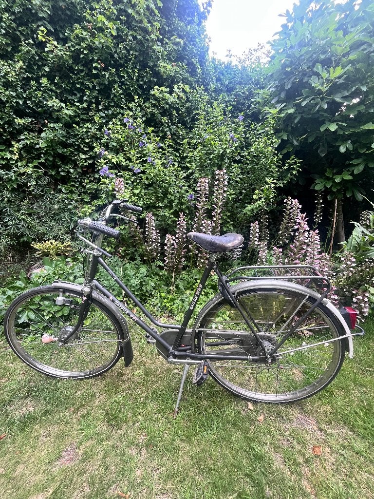 Gazelle Damesfiets Frame 54, Ophalen, Versnellingen, Gazelle, 53 tot 56 cm
